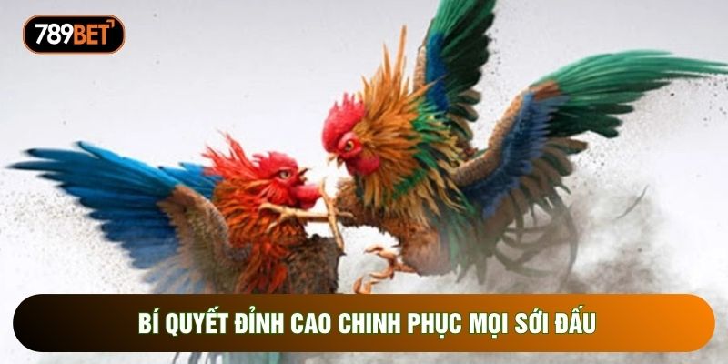 Bí quyết đỉnh cao chinh phục mọi sới đấu