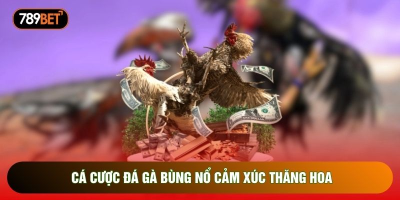 Cá cược đá gà bùng nổ cảm xúc thăng hoa
