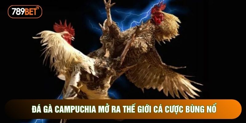 Đá gà campuchia mở ra thế giới cá cược bùng nổ