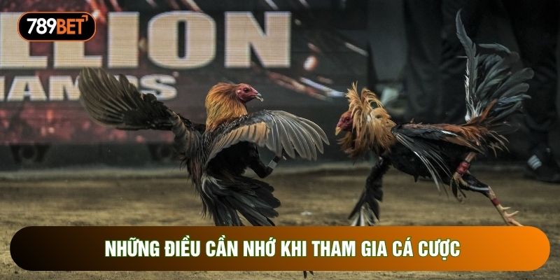 Những điều cần nhớ khi tham gia cá cược