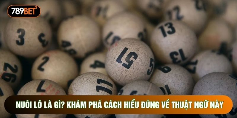 Nuôi Lô Là Gì? Khám Phá Cách Hiểu Đúng Về Thuật Ngữ Này