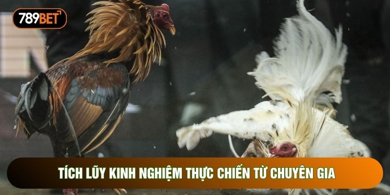 Tích lũy kinh nghiệm thực chiến từ chuyên gia